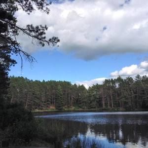 Meet your Posher, Joy